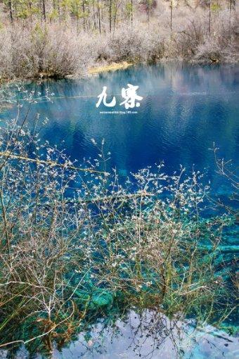 尤卡大莱莉冒险