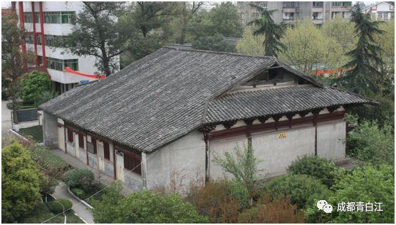 救援受困的老虎