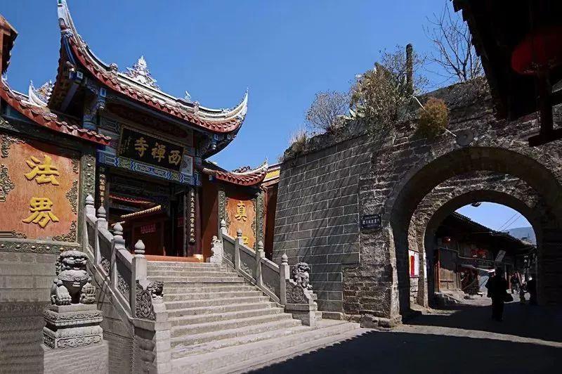 动物帮帮忙保卫家园